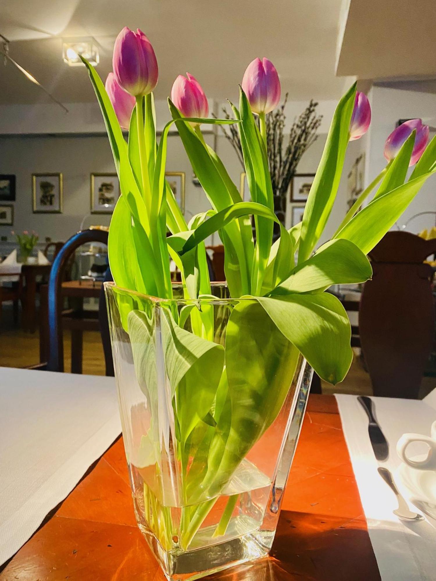 Hotel Rejs 4*